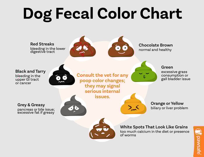 dog fecal color chart