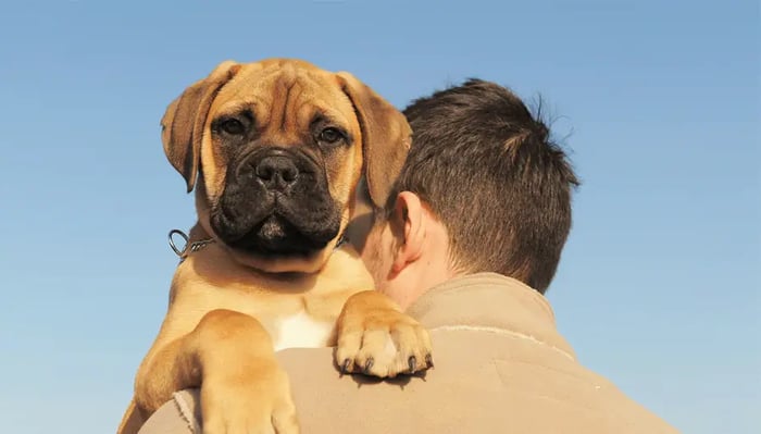 How Big Will My Puppy Get?