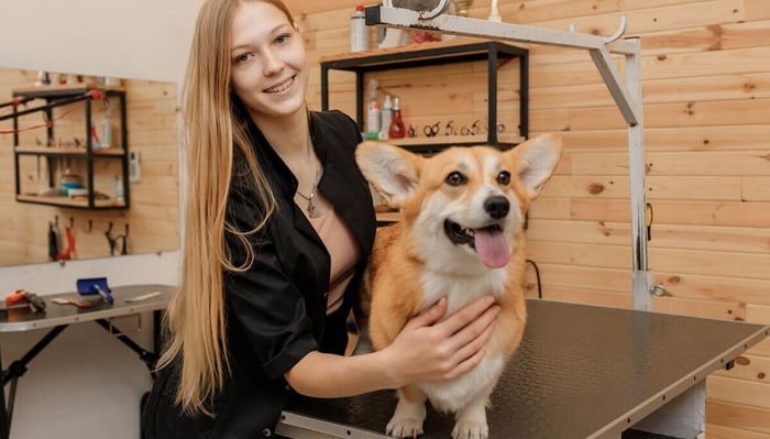 Your Complete Guide To How Much To Tip A Dog Groomer