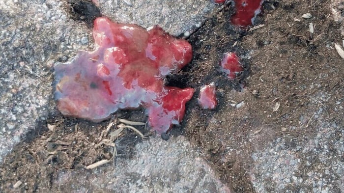 slime or mucus with the blood