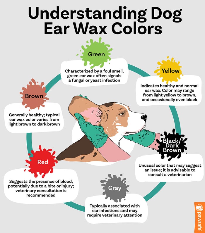 understanding dog ear wax colors