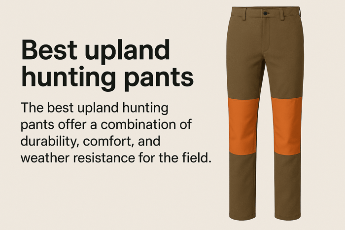 Best Upland hunting pants : The Ultimate Guide