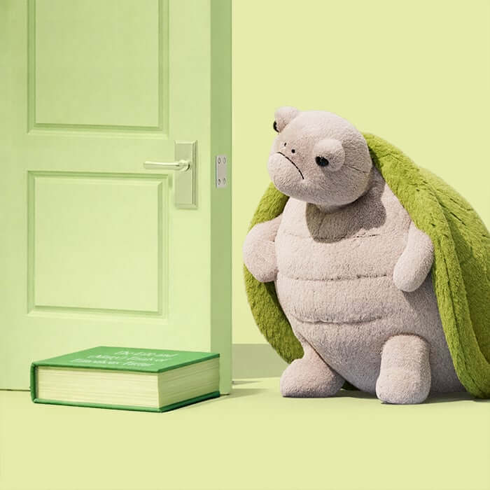 Timmy Turtle with The Life and (Many) Trials of Timotheus Turtur book