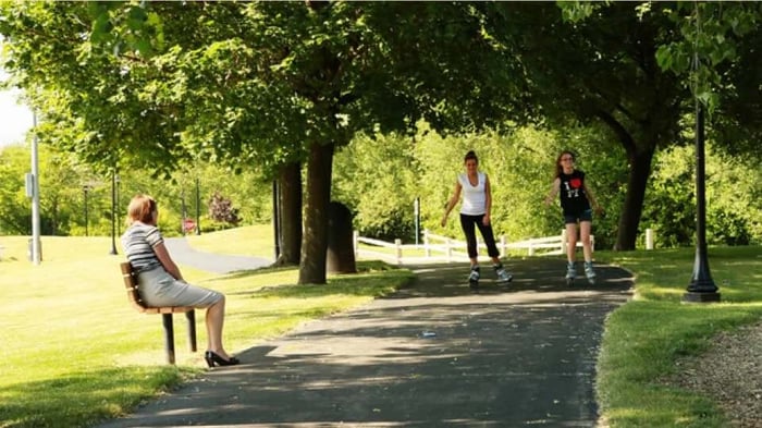 a park in Northlake, IL