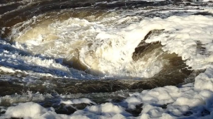 Reversing Falls Rapids in Saint John, NB