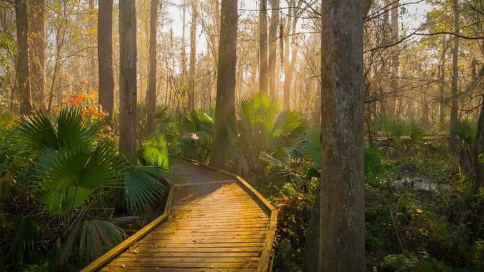Creole Nature Trail near Lake Charles, LA