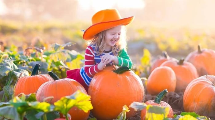 a young girl in a pumpkin patch