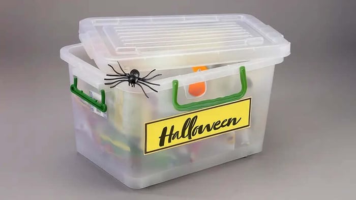 a box of Halloween decorations labelled for storage