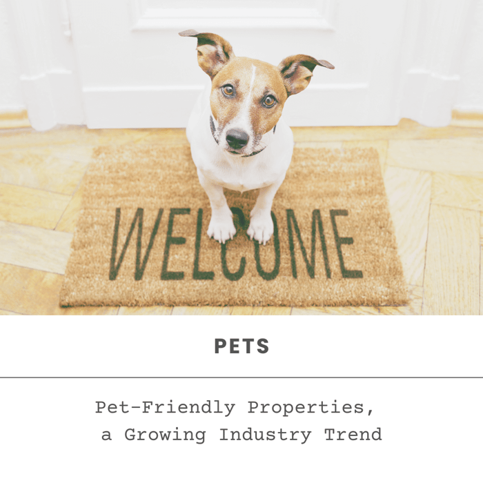 Pet-Friendly Properties, a Growing Industry Trend