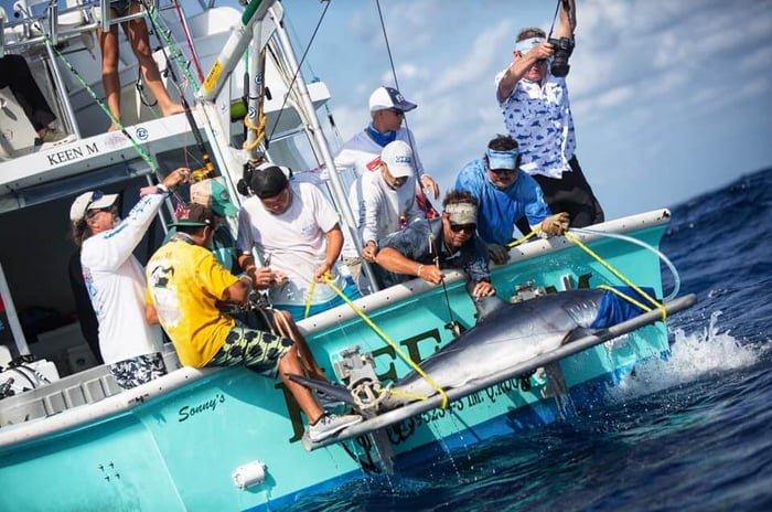 The Guy Harvey Crew tagging a Mako Shark
