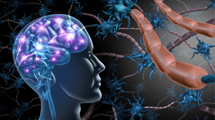 Illustration showing nerve cells in the brain