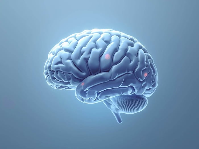 Simple brain illustration showing energy, hydration, and nutritional support.