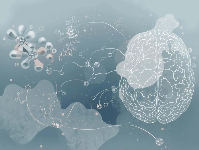 Hormones and migraines affecting brain energy and sensory processing