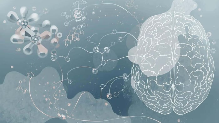 Hormones and migraines affecting brain energy and sensory processing