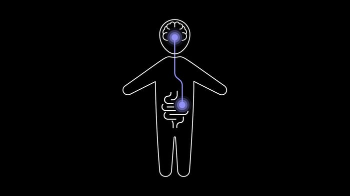 Understanding Bioactive and Human-Identical vs. Non-Bioactive and Non-Numan-Identical Substances
