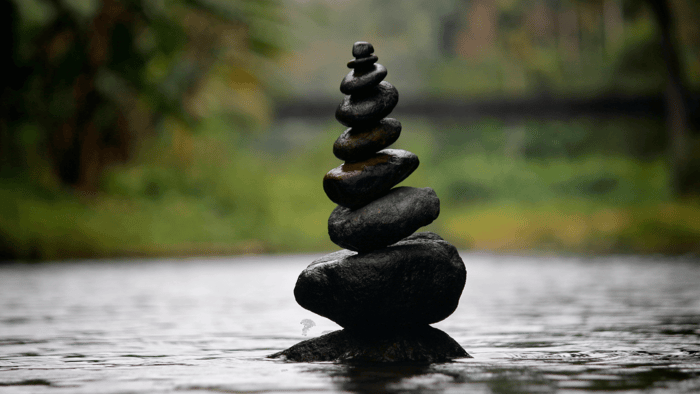 2025 Retirement Savings Contribution Limits