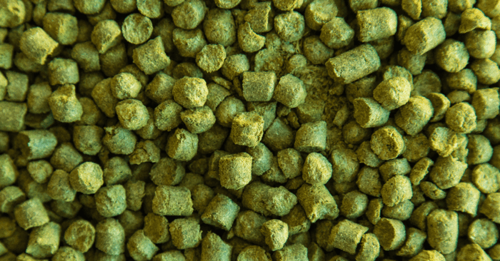 Master Dry Hopping Temperature for Amazing Beer Flavor