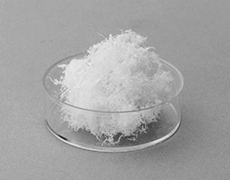atelocollagen powder image