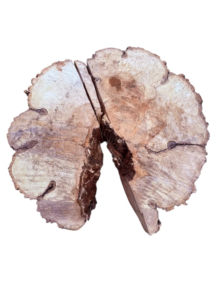 wabi roots
