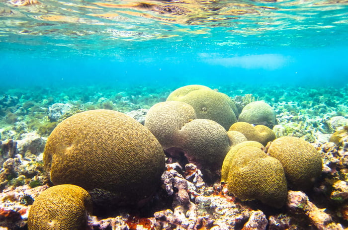 The Corn Islands