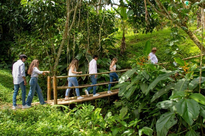 Jose and friends stroll through the forest