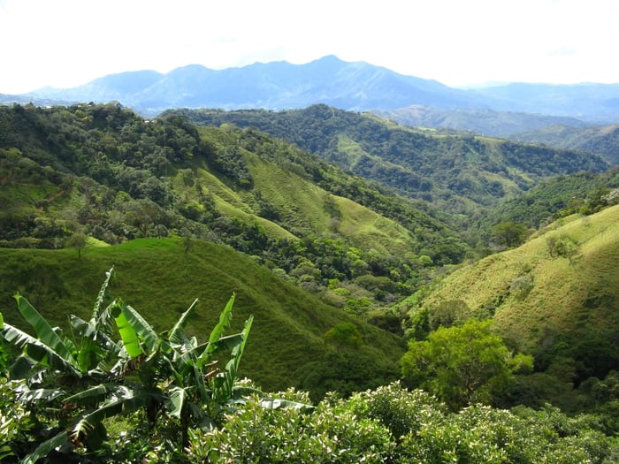 Edwin’s photo of one of his regular landscape views