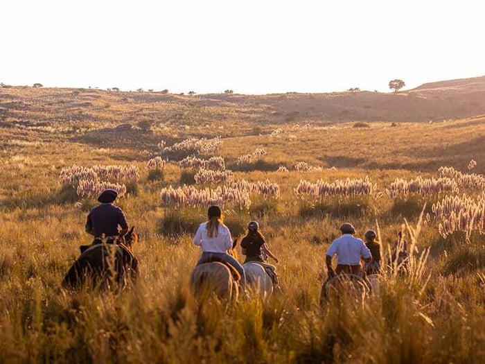 Horse riding in the afternoon light