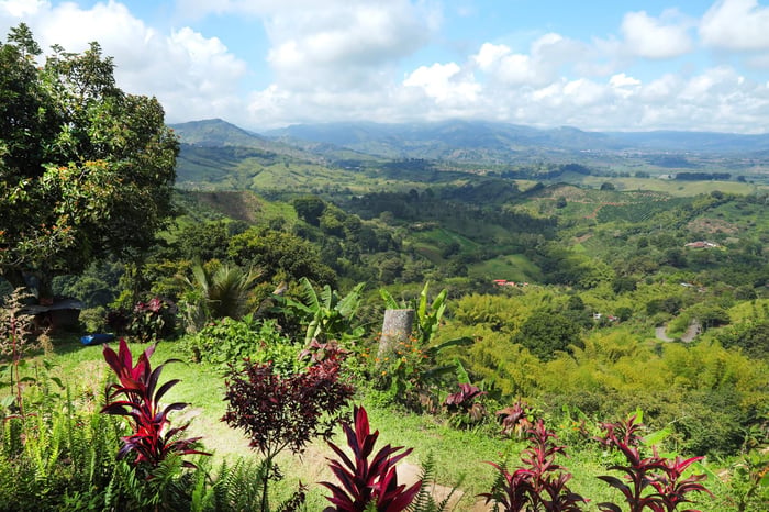 Scenic views of Colombian coffee farms