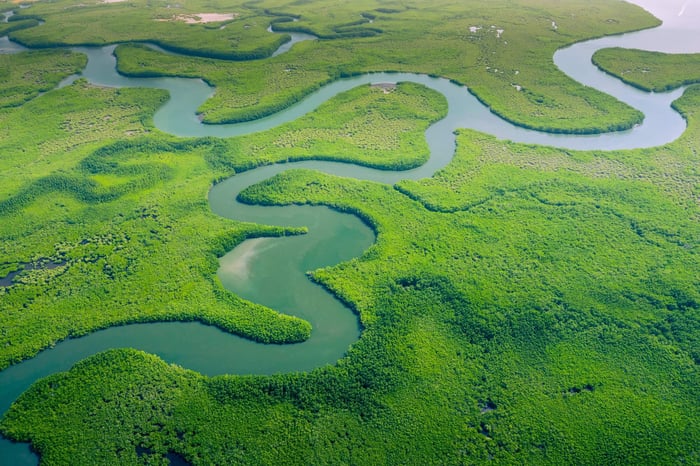 The Amazon River running through the Amazon in Brazil