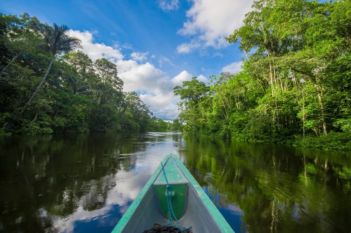 Amazon rainforest Ecuador