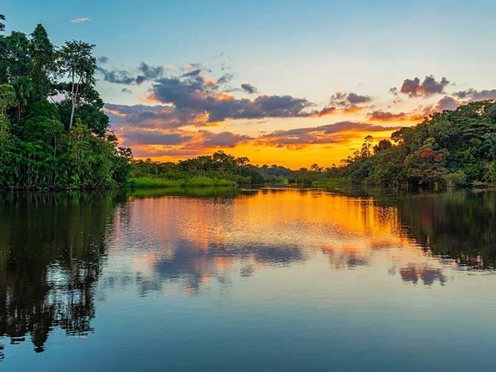 Peruvian Amazon