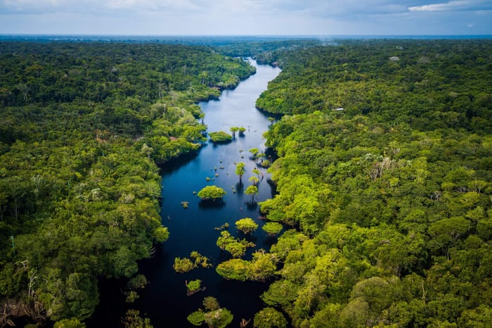 5 Unmissable Experiences of The Amazon River & Rainforest