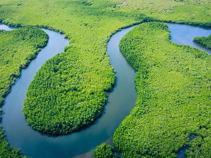 Amazon River, brazil