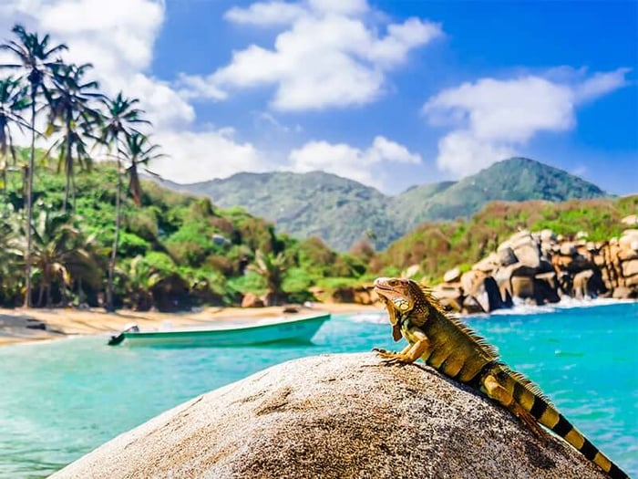 Tayrona National Park