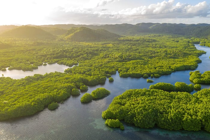 Anavilhanas archipelago, flooded amazonia forest in Negro River, Amazonas, Brazil. Aerial drone view