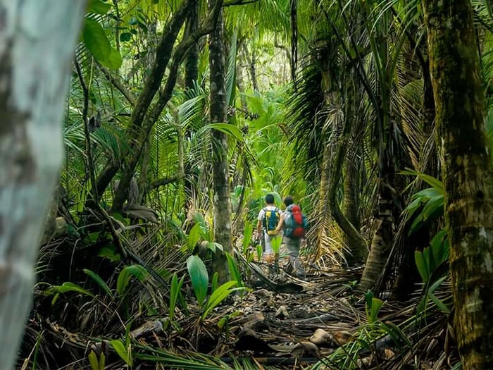 Hikers in Corvocado