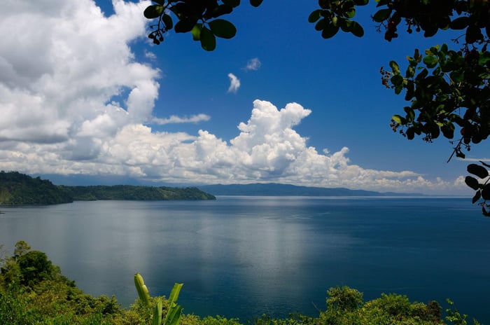 Blue calm water of Golfo Dulce at Osa Peninsula Costa Rica under Cashew tree