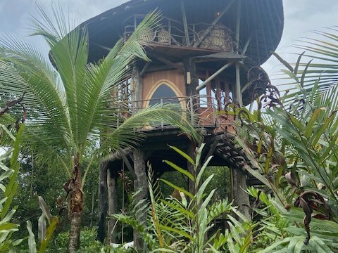 Bocas del Toro