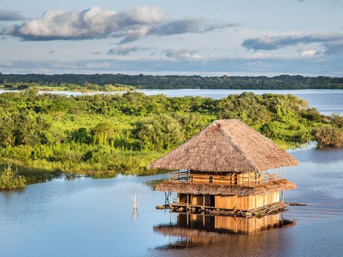 Hut in the Amazon River