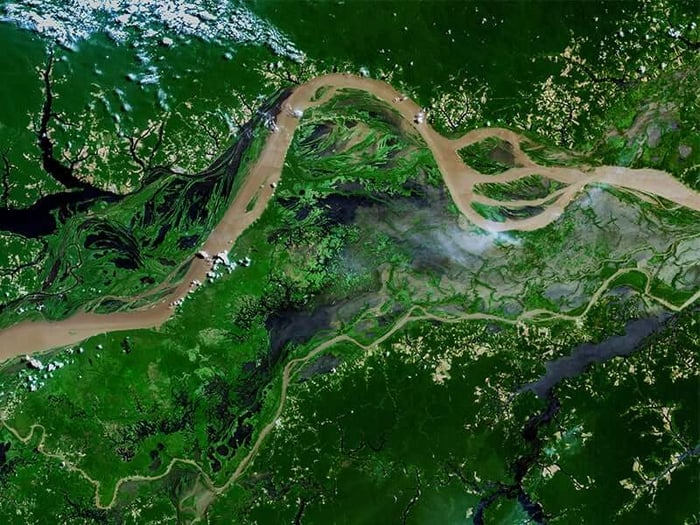 The Amazon seen from space