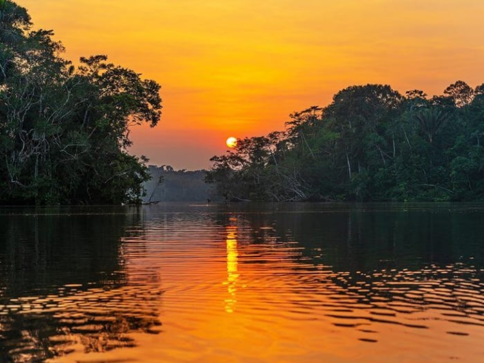 Yasuní National Park