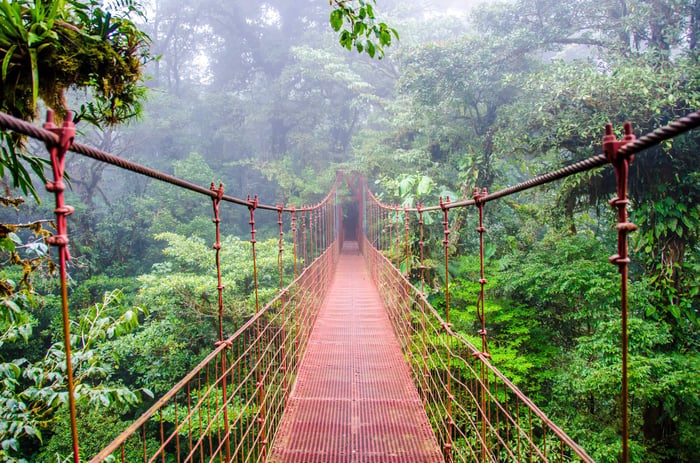 When is the Best Time to Visit Costa Rica