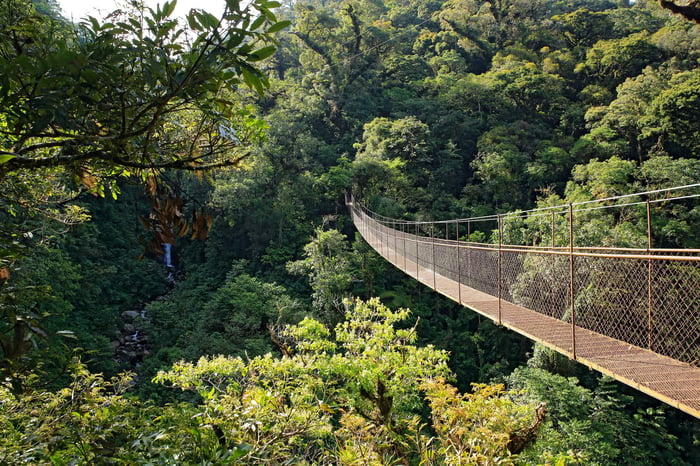 Canopy Tree Trek in Boquete, Panama