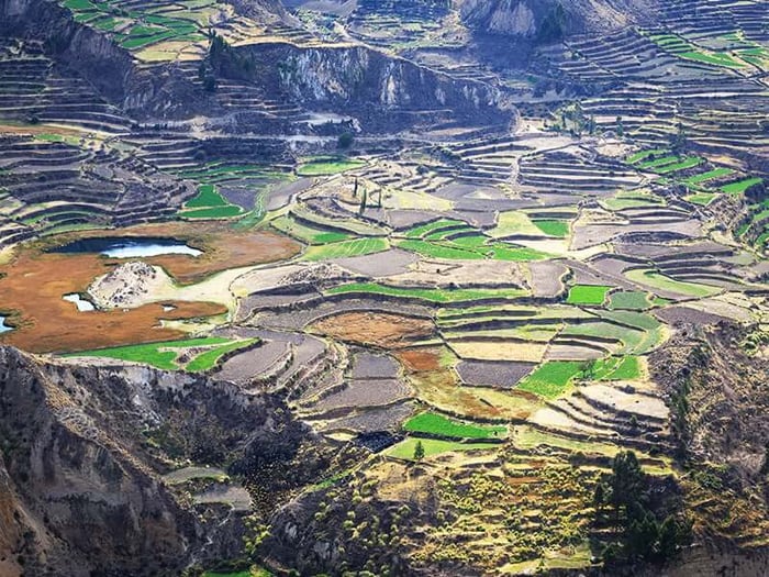 Colca Canyon