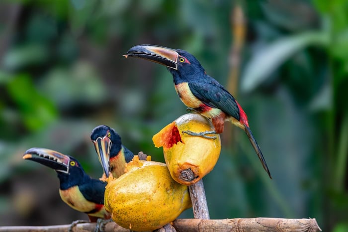 When is the Best Time to Visit Costa Rica