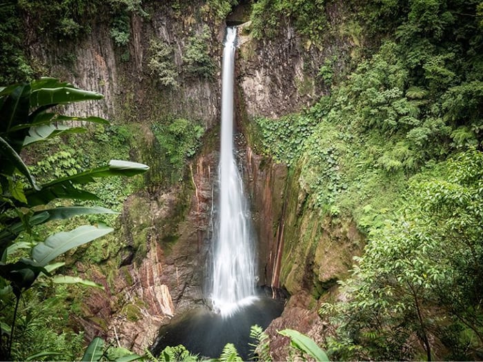 Catarata del Toro, one of the tallest waterfalls in Costa Rica