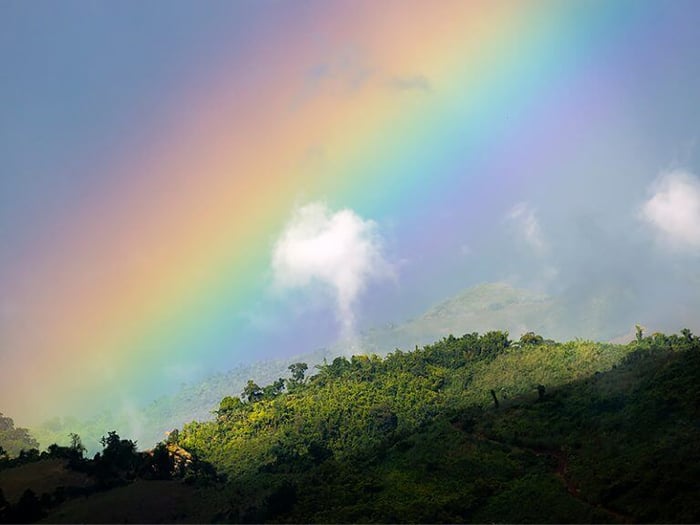 Rainbow over the rainforest