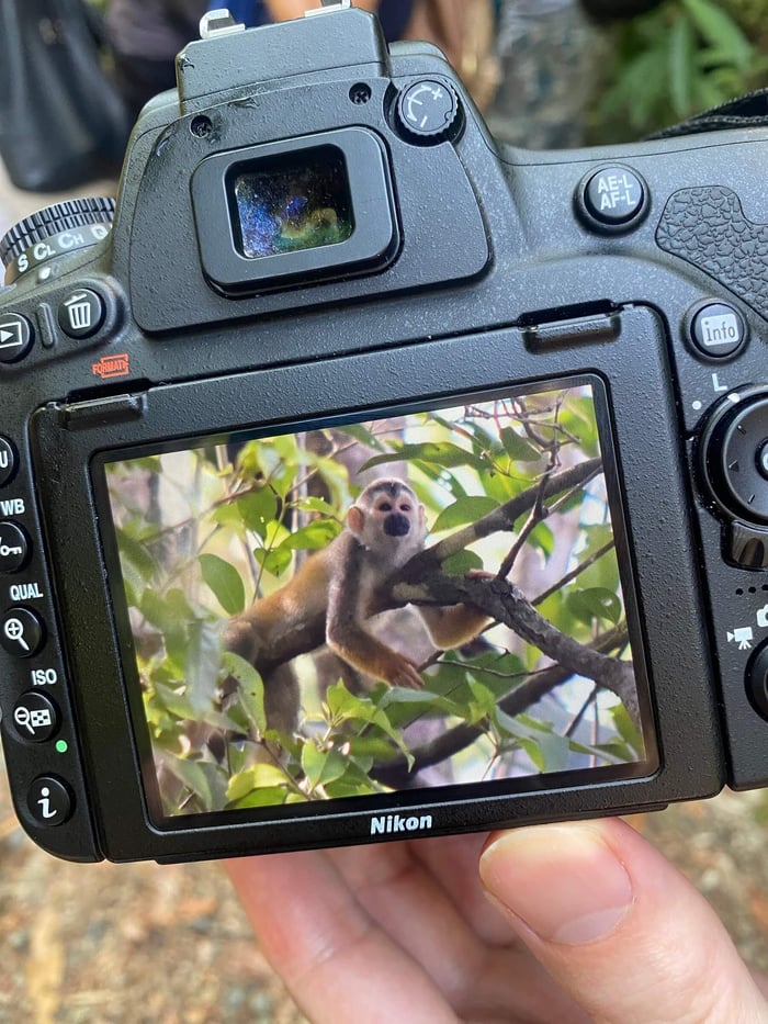Costa R8ica is perfect for photographers