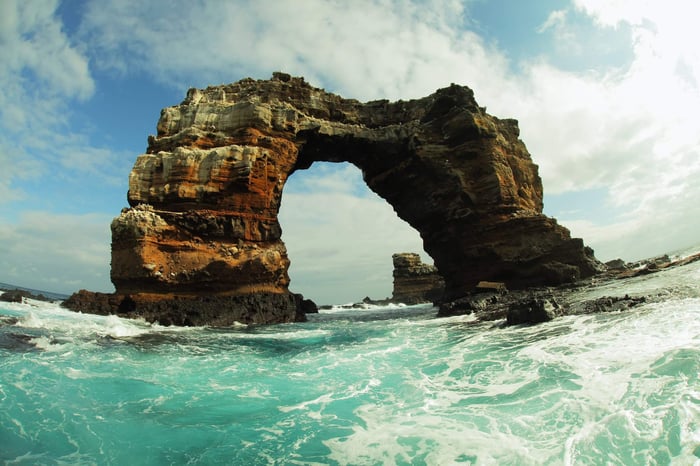 Darwin's Arch