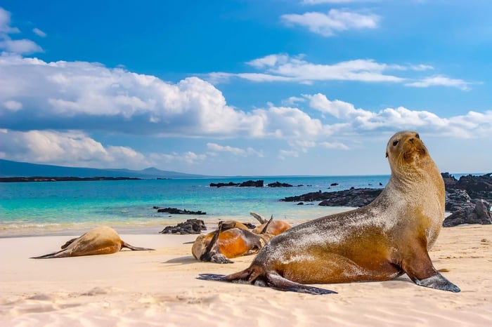 Ecuador - Galápagos Islands